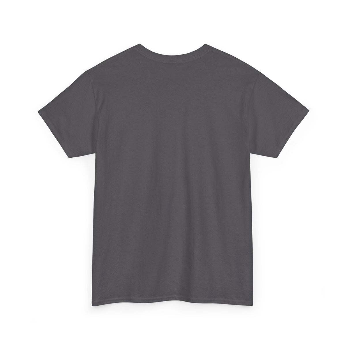 Dragonfly T-Shirt — Nature Graphic Tee