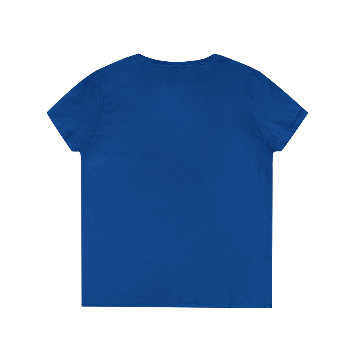 Sunbird V-Neck T-Shirt for Women — African Bird Graphic Tee