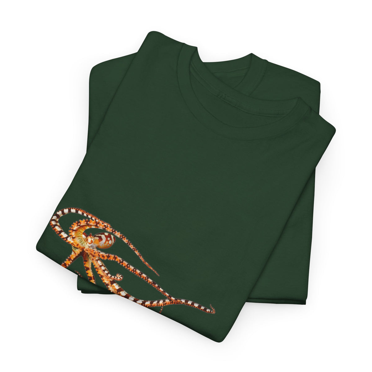 Wunderpus Octopus T-Shirt — Ocean Graphic Tee