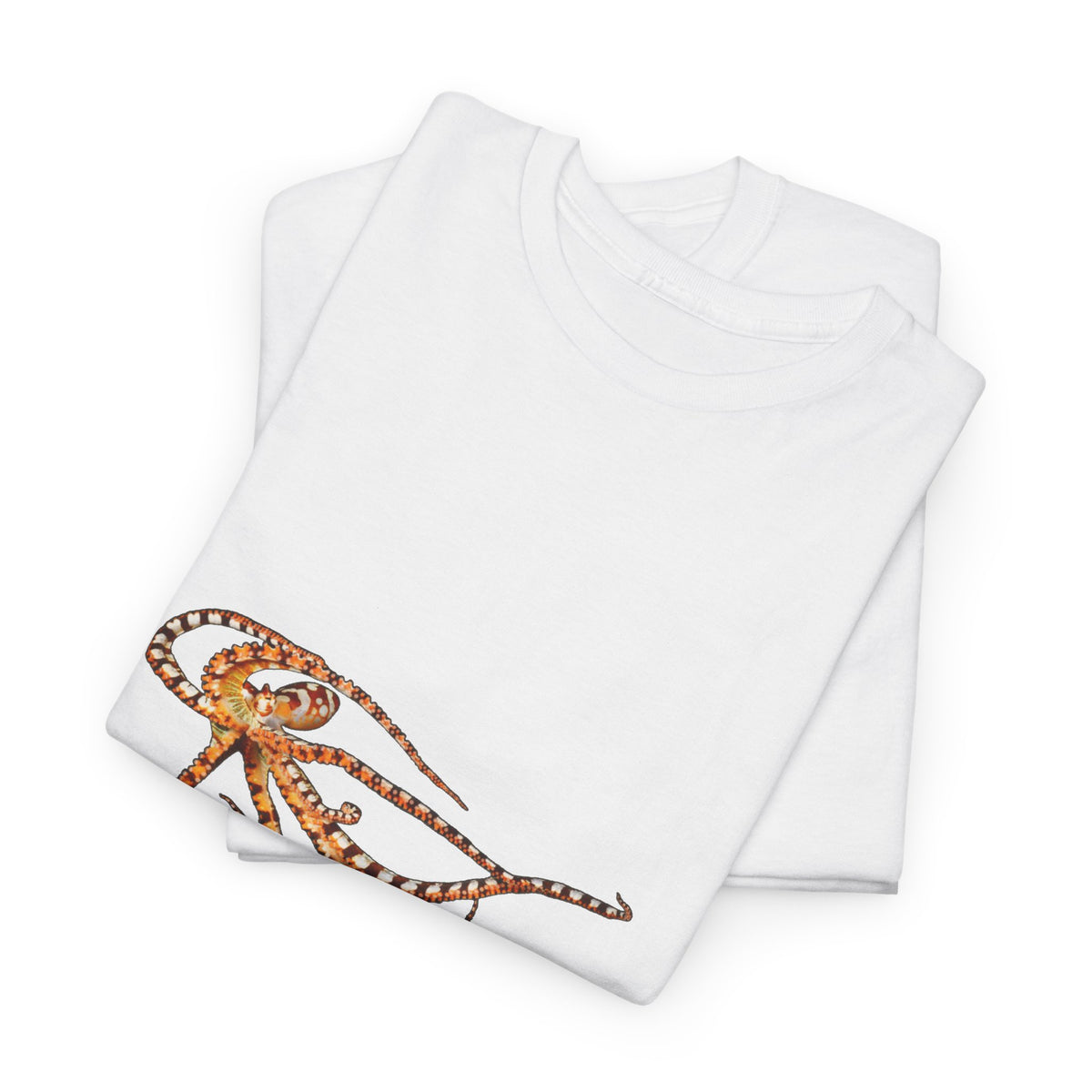 Wunderpus Octopus T-Shirt — Ocean Graphic Tee